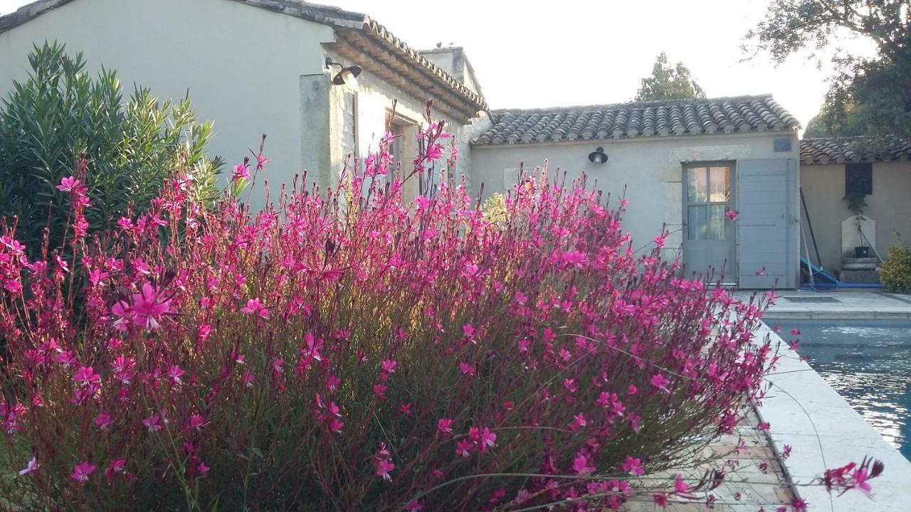 Vila Le Mazet Cabannes Exteriér fotografie